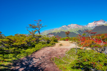 Gorgeous landscape of Patagonia's Tierra del Fuego National Park in Autumn