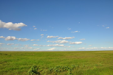 The African landscape. Kenya