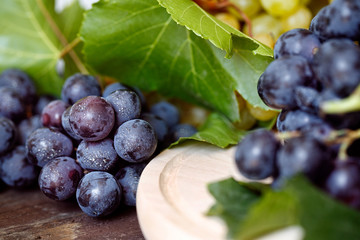 close up juicy black grapes on the table still life.