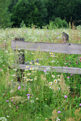 An old fence in meadow in Russian countryside