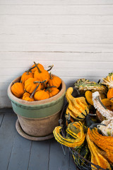 Pot Of Pumpkins And Gourds On Wooden Porch