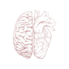 Fototapeta premium Versus human brain right and left hemisphere and heart illustration. Creative concept vector design.