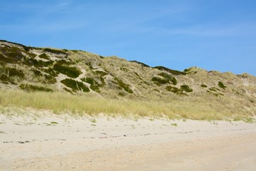 Landscape with sand dunes