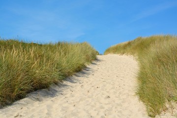 Landscape with sand dunes