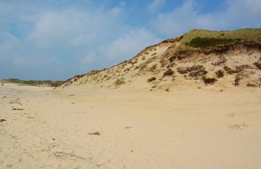 Fototapeta na wymiar Landscape with sand dunes