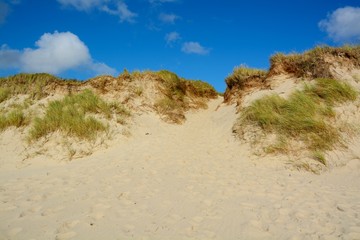 Fototapeta na wymiar Landscape with sand dunes