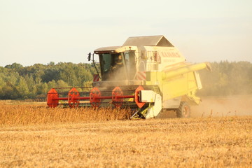 Obraz premium Agriculture