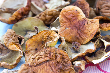 A lot of dried edible mushrooms porcini and aspen mushrooms closeup