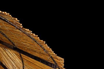 Brach umbrella detail