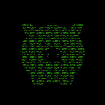 Hacker - 101011010 Icon - Sparschweinchen