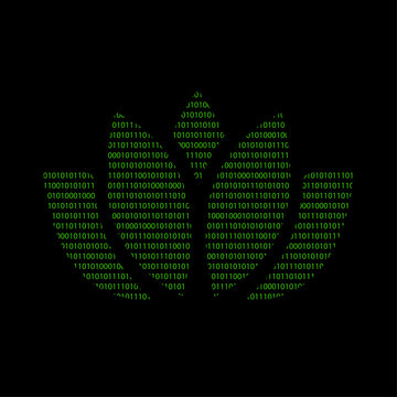 Hacker - 101011010 Icon - Seerose
