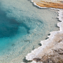 Whtie beached rock in geyser hot spring