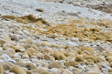 Les roches des côtes de l'île Grande en Bretagne