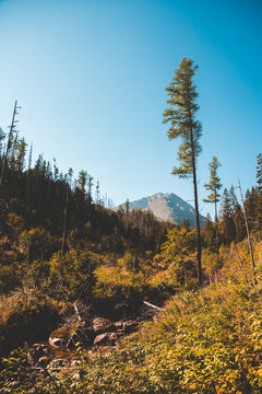 On the Way to Gerlachovsky Peak in High Tatras Mountains, Slovakia