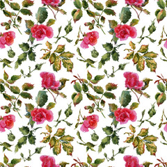 Rose flowers handmade watercolor seamless pattern gentle