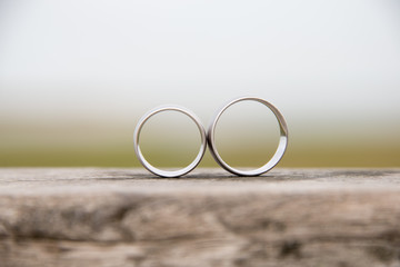 Fototapeta na wymiar view on a pair of white golden wedding rings on nature background