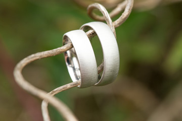 view on a pair of white golden wedding rings on nature background
