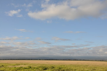 Fototapeta premium The African landscape. Kenya