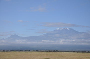 The African landscape. Kenya