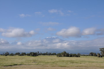 The African landscape. Kenya