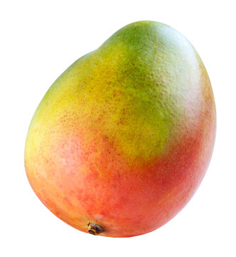 Colorful mango fruit