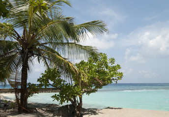 Fototapeta na wymiar Sea landscape,Male, Maldive islamds