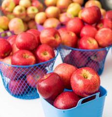 Apple Baskets