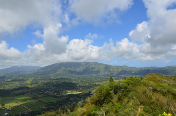 Kauai View