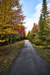 Fototapeta na wymiar New England Fall Landscapes