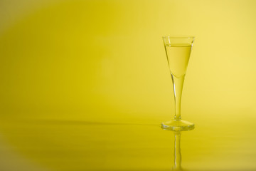 Yellow liquid in aperitif glass on yellow background.