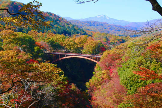 秋の雪割り橋（福島県・西郷村）