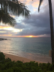 Sunset through leaves