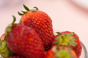 イチゴ採れたて