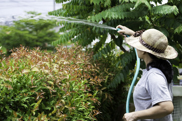 a woman watering the the garden