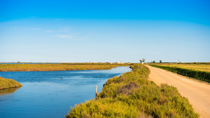 Ebro Delta estuary and wetlands, Tarragona, Catalunya, Spain. Copy space for text.