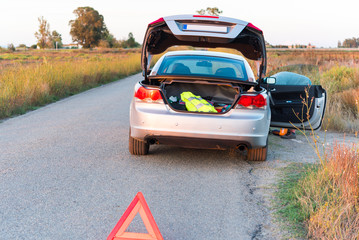Landscape of the Ebro Delta, the car on the road. Copy space for text.