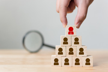 Human resource management and recruitment business concept, Hand putting wood cube block on top pyramid and magnifying glass, Copy space