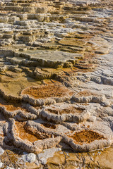 Jupiter Terrace at Mammoth Hot Springs Yellowstone National Park Wyoming USA