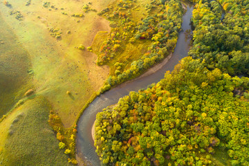 aerial shot of colorful autumn forest and small river landscape
