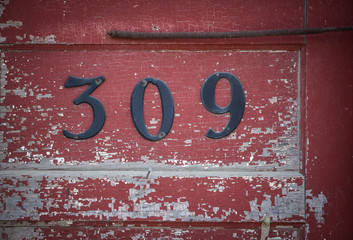 number 309