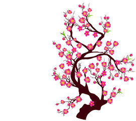 Vector Cherry blossom for Chinese New Year and lunar new year