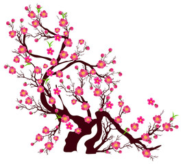 Plakat Vector Cherry blossom for Chinese New Year and lunar new year