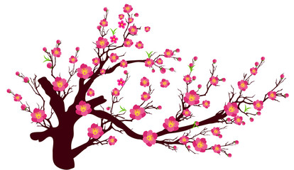 Vector Cherry blossom for Chinese New Year and lunar new year