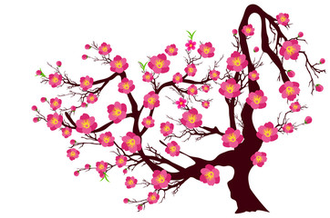 Vector Cherry blossom for Chinese New Year and lunar new year