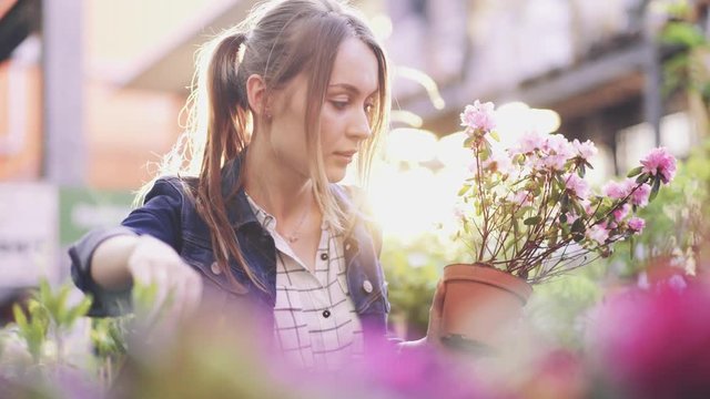 Woman Buying Flowers in a Sunlit Garden Shop. 4K. Young woman shopping for decorative plants on a sunny floristic greenhouse market. Home and Garden concept. 