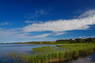 Panoramic view of the smooth surface of the lake with vegetation