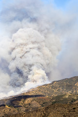 Smoke rising from a wildfire