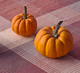 Two different sized pumpkins on a plaid cloth