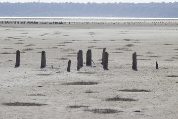 exotic landscape of salt lake  Kuyalnik