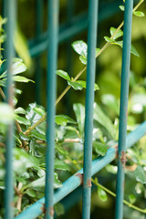 Steel panel and lock 